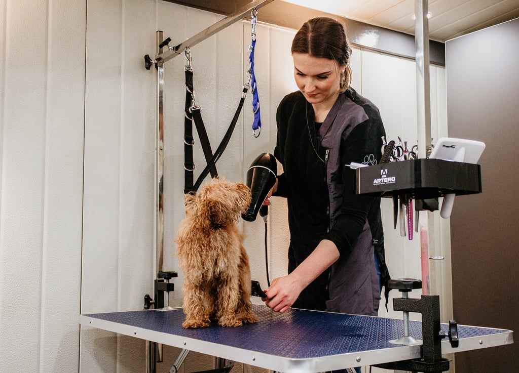 Professioneel trimgereedschap in de salon